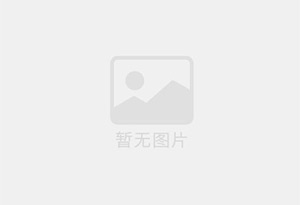 食品厂糖粉糖块用全不锈钢振动筛